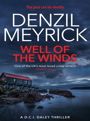 cover image of Well of the Winds